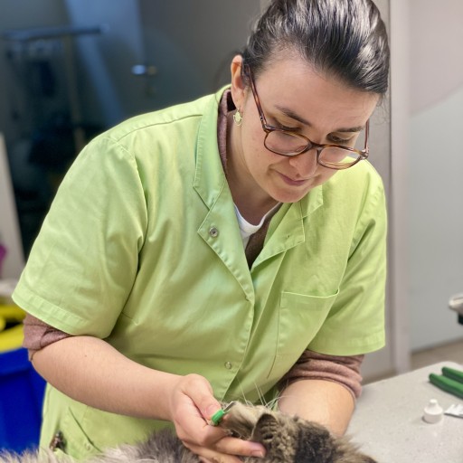 Dr Pauline BECAM
